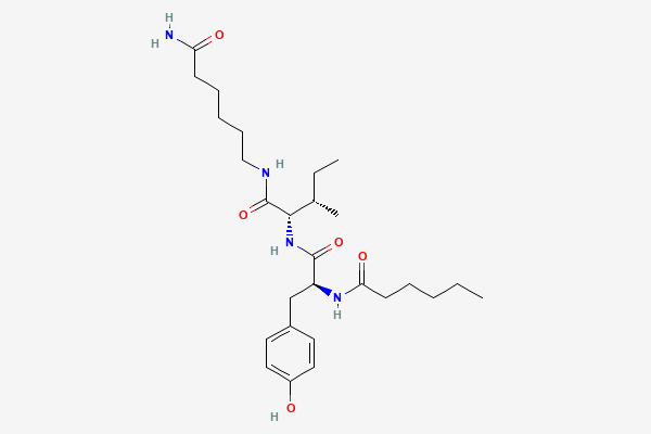 Dihexa 2D chemical structure