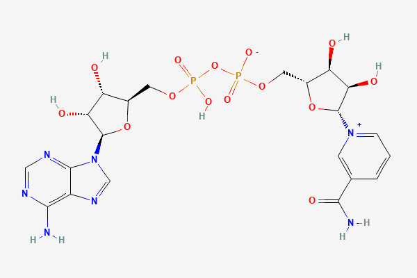 NAD+ 2D chemical structure