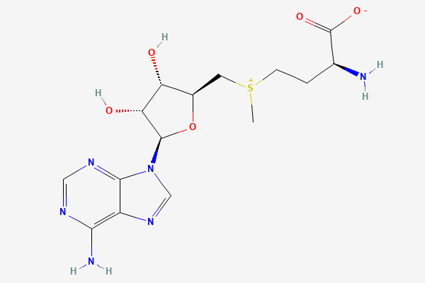 S-Adenosyl-L-methionine 2D chemical structure
